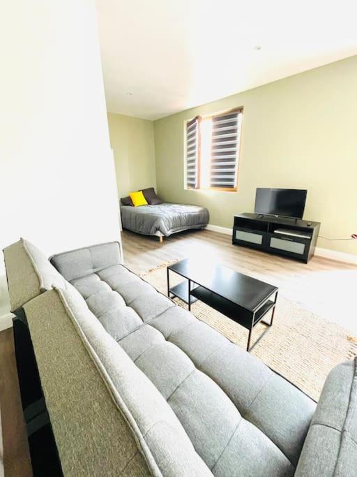Studio Tout Equipe Au Calme Et Chaleureux Daire Saint-Etienne  Dış mekan fotoğraf