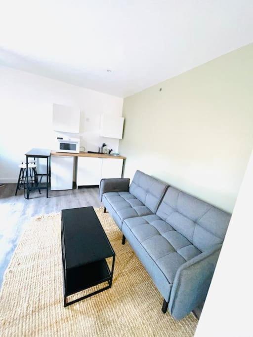 Studio Tout Equipe Au Calme Et Chaleureux Daire Saint-Etienne  Dış mekan fotoğraf